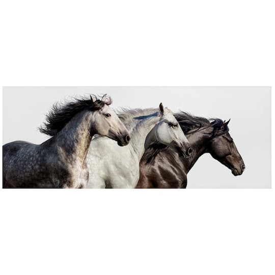 Empire Art Direct 63" x 24" Horse Trilogy 1 Frameless Free Floating Printed Tempered Glass Wall Art
